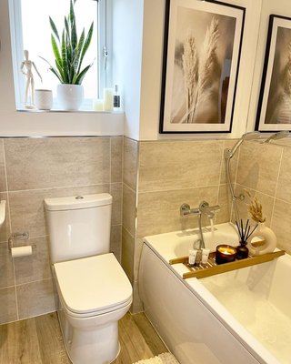 Schiller Woods Plumbing & Drain Logo