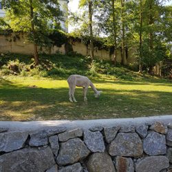 Tierpark Stadt Haag