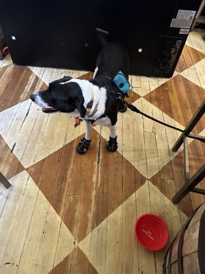 Colfax Ale Cellar by null