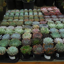 Arizona Growers