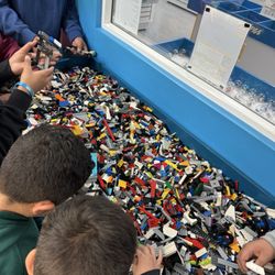 Bricks & Minifigs