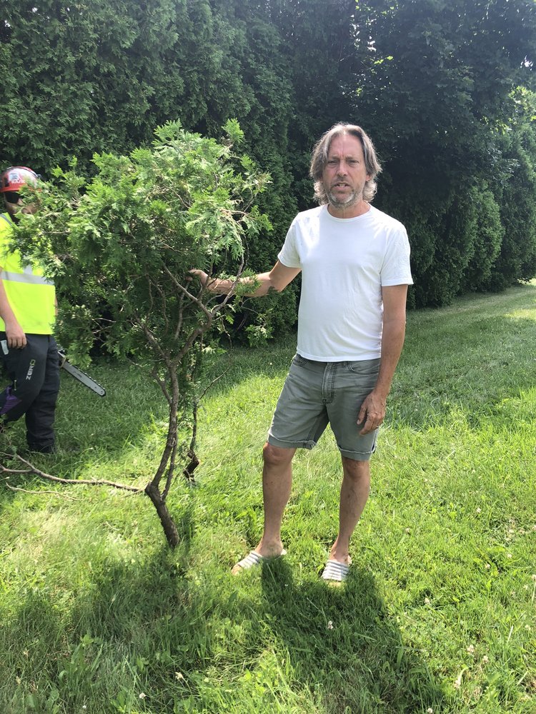 ARNOLD’S TREE SERVICE Updated July 2024 Holley, New York Tree