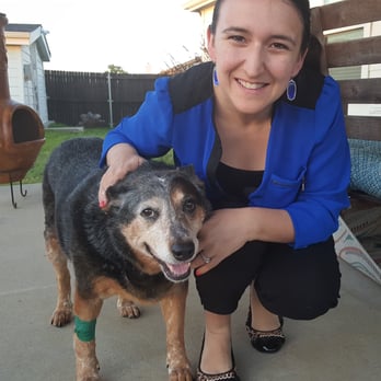 Village Veterinary Center - Day after surgery - Pet Sitting Near Me - Cross Roads, Texas