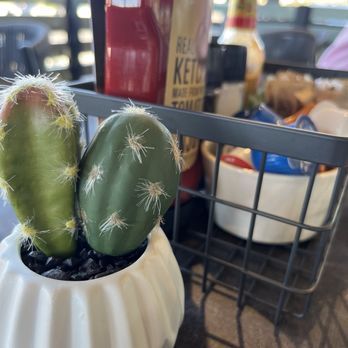 First Watch - Outside patio table setting - Breakfast & Brunch Near Me - Henderson, Nevada First Watch - Outside patio table setting - Breakfast & Brunch Near Me - Henderson, Nevada
