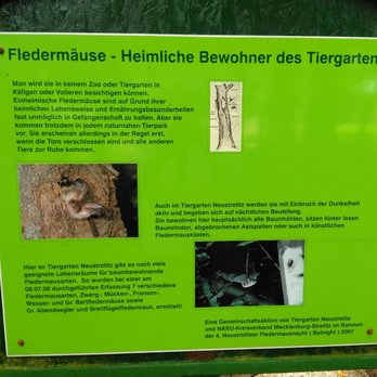 Tiergarten - Zoos Near Me - Neustrelitz, MV