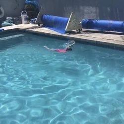Aloha Swimming In Capo Beach