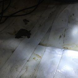 1 800 Busydog 29 Photos 110 Reviews Waterproofing 1600 Providence Hwy Walpole Ma United States Phone Number Waterproofing 1600 Providence Hwy