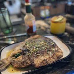 Bronzino fish