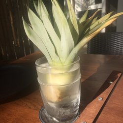 Xant Ha - Pineapple top centerpieces- they sprout them this way (and then I think they plant them on the grounds, but I didn't ask for sure)