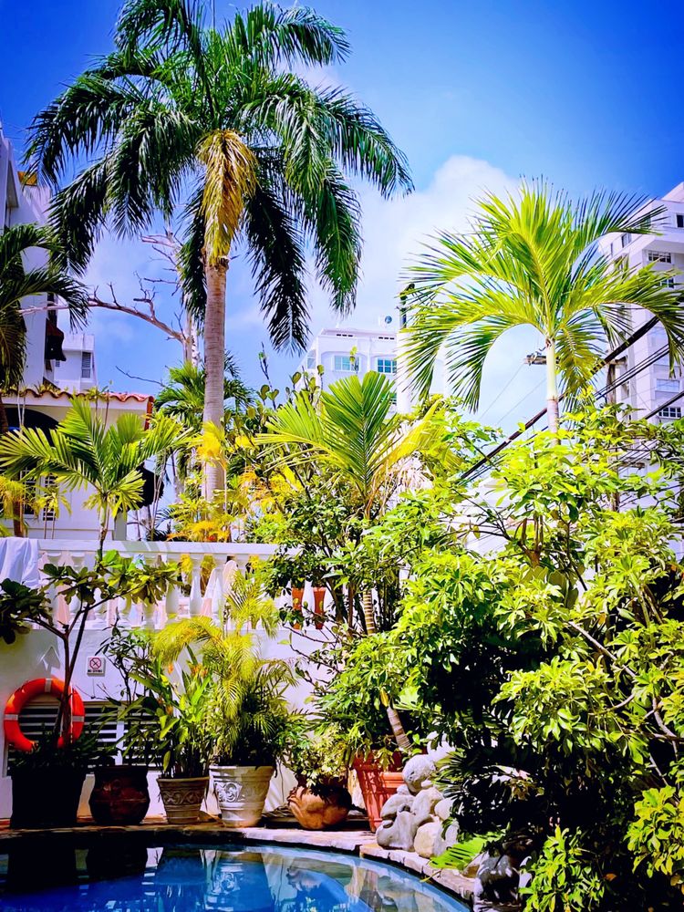 AT WIND CHIMES BOUTIQUE HOTEL Updated August 2024 146 Photos & 96