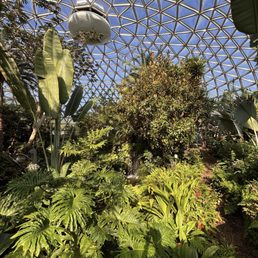 Inside the Bloedel Conservatory