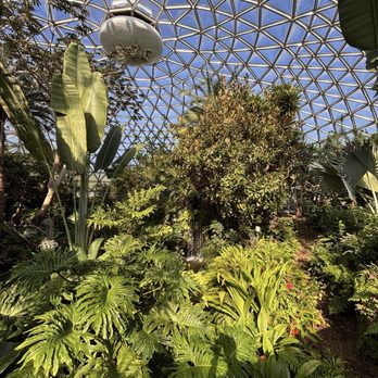 Bloedel Conservatory - Inside the Bloedel Conservatory - Botanical Gardens Near Me - Vancouver, British Columbia