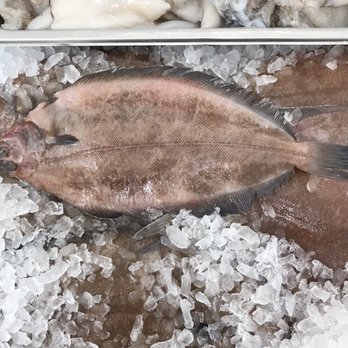 Joe's Fish Market - two fish on ice - Seafood Markets Near Me - Queens, New York Joe's Fish Market - two fish on ice - Seafood Markets Near Me - Queens, New York