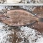 Photo of Joe's Fish Market