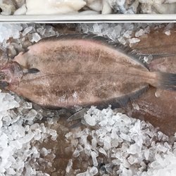 Joe's Fish Market