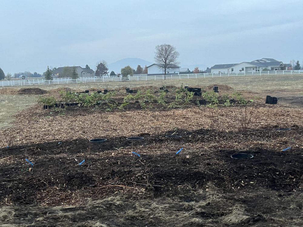 Slide of Hometown Handyman