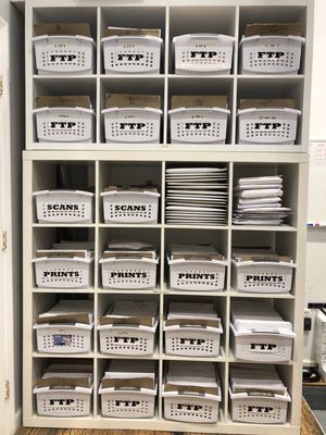 The Color House New York by null