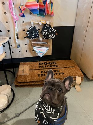 Adelina Social Goods by null