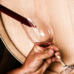 Leonard Oakes Estate Winery - Barrel Sample