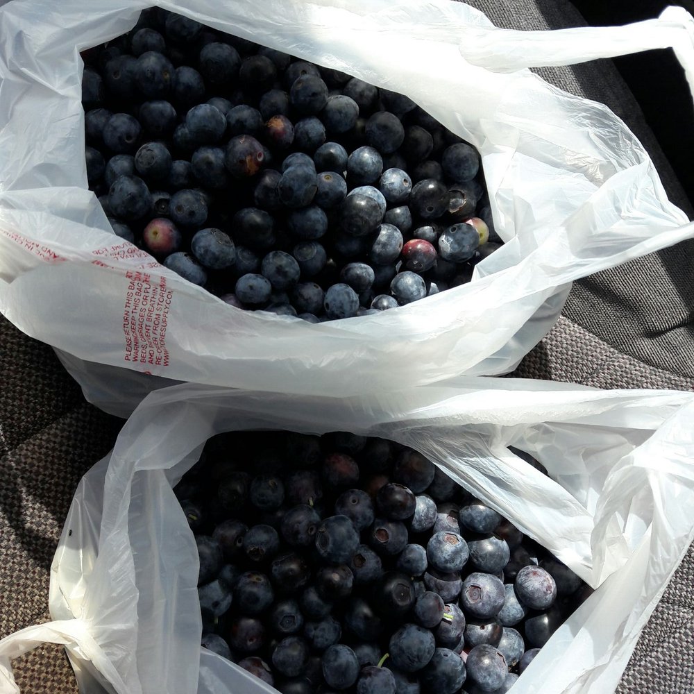 VanderHelm Farms - Farms Near Me - Modesto, California