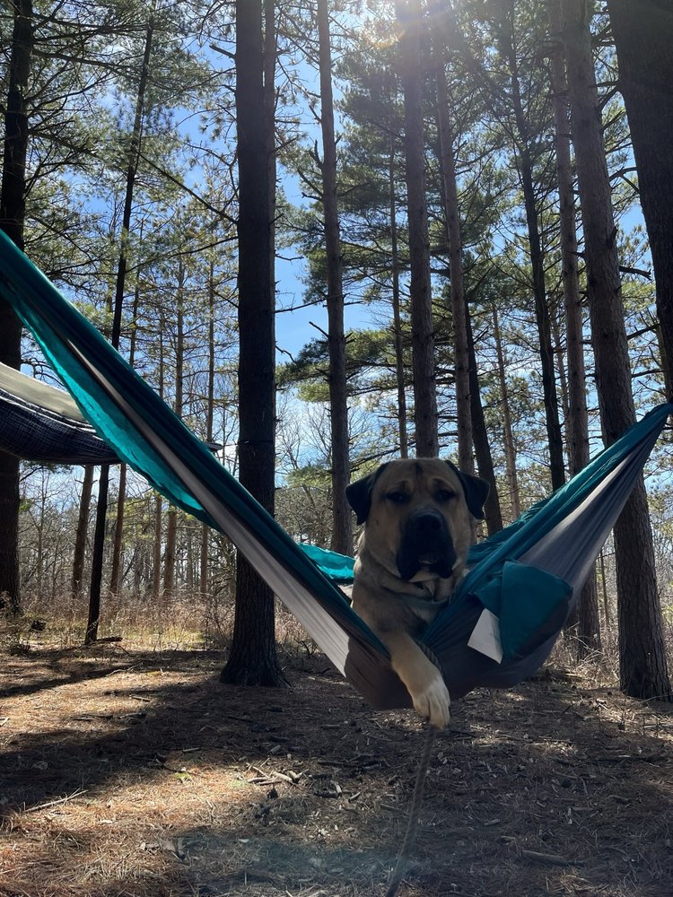 GILMER ROAD ANIMAL HOSPITAL Updated September 2024 36 Reviews