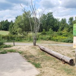 Chili DGC at Widener Park