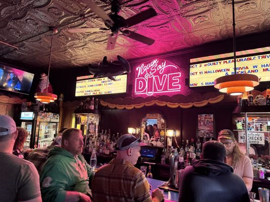 Never Say Dive by null