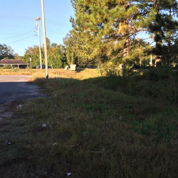 AAA LIVINGSTON PROPERTY SERVICES Updated June 2024 405 Liberty Hall