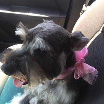 Pet Spaw - Pet Groomers Near Me - Glendora, California Pet Spaw - Pet Groomers Near Me - Glendora, California