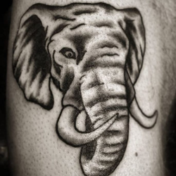 Aces and Eights Tattoo Athens