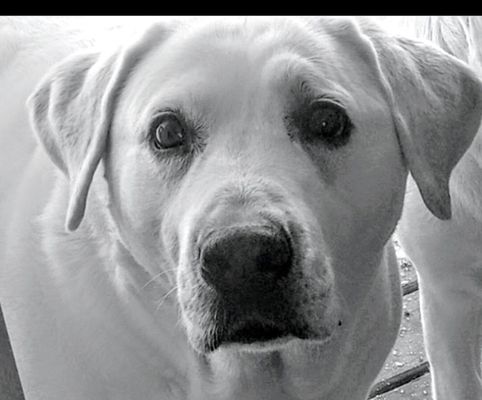 Eternal Ink Tattoos & Body Piercing