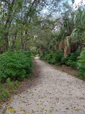 Four Mile Cove Ecological Preserve by null