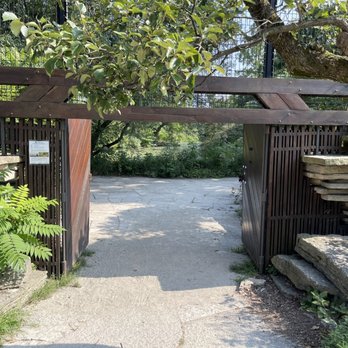 Alfred Caldwell Lily Pool - Parks Near Me - Chicago, Illinois