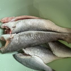 Corchris Seafood - Super fresh, clean-tasting fish. Definitely worth a visit!