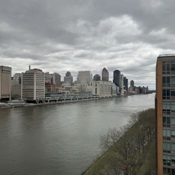 Roosevelt Island Tramway - Roosevelt Island Tramway Views of Roosevelt Island 2025 - Public Transportation Near Me - New York, New York Roosevelt Island Tramway - Roosevelt Island Tramway Views of Roosevelt Island 2025 - Public Transportation Near Me - New York, New York