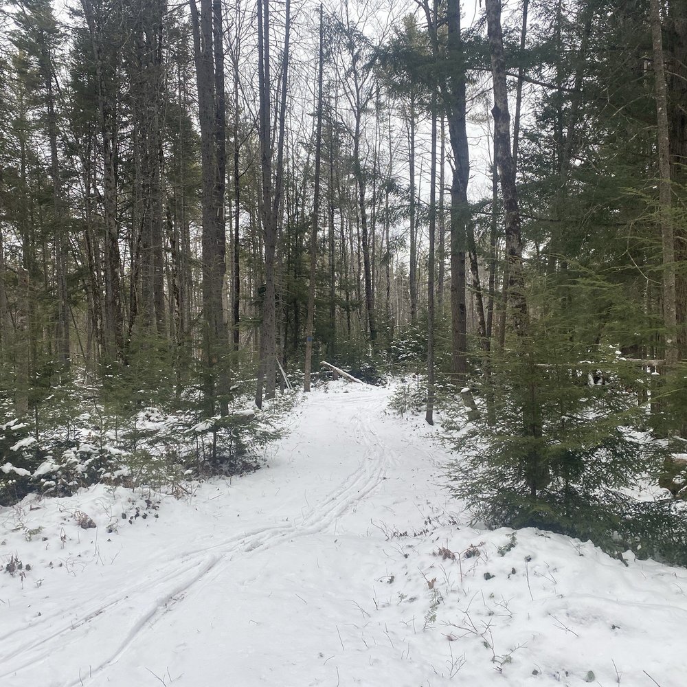 Ski trail. Ski trail.