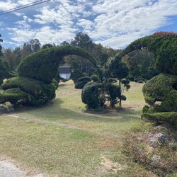 Pearl Fryar's Topiary Garden - Wonderful works