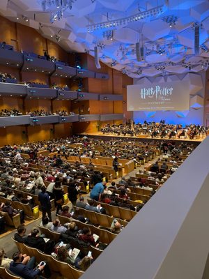 Minnesota Orchestra by null