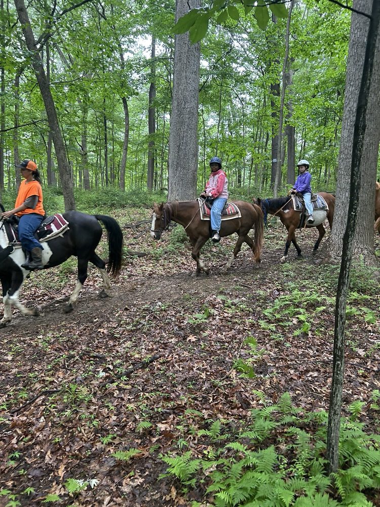 Misty Manor Riding Stable - equestrian in Marriottsville, MD