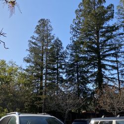 San Domenico School - A view from outside the gymnasium