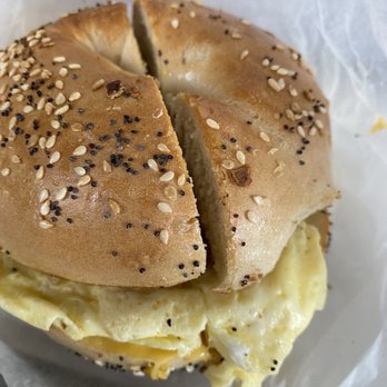 Bagels Plus - Bagels Near Me - Tampa, Florida Bagels Plus - Bagels Near Me - Tampa, Florida