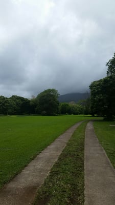 Kahanu Garden, National Tropical Botanical Garden by null