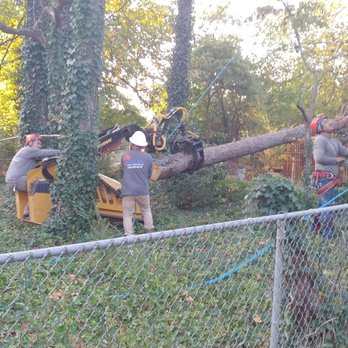 Avalon Tree Services - They have the talent and equipment. - Tree Services Near Me - Lilburn, Georgia
