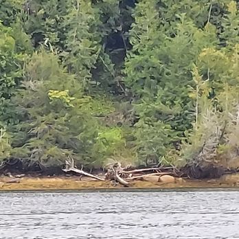 Penobscot Boat Tours - Along the shore Castine, Maine - Boat Tours Near Me - Bucksport, Maine