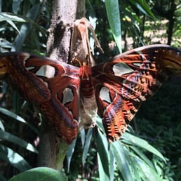 Butterfly Park Empuriabrava 2019 All You Need To Know