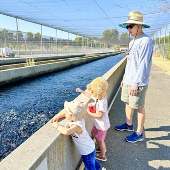 San Joaquin Fish Hatchery - Pond area - Aquariums Near Me - Friant, California San Joaquin Fish Hatchery - Pond area - Aquariums Near Me - Friant, California