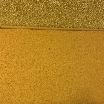 CoCo Key - Resorts Near Me - Orlando, Florida