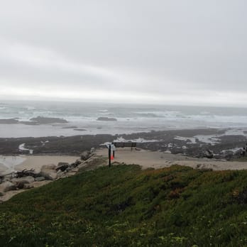 Fitzgerald Marine Reserve - Parks Near Me - Moss Beach, California Fitzgerald Marine Reserve - Parks Near Me - Moss Beach, California