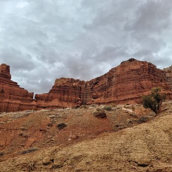 Capitol Reef National Park - 03.14.23 - Parks Near Me - Fruita, Utah