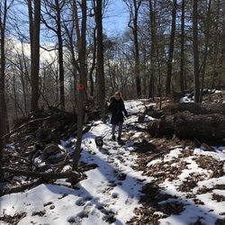 Shaupeneak Ridge Park - Orange trail